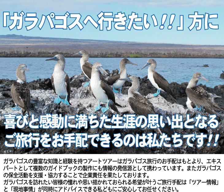 ガラパゴスへ行きたい！！喜びと感動に満ちた生涯の思い出となるご旅行をお手配致します