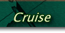 TopImage_Cruise